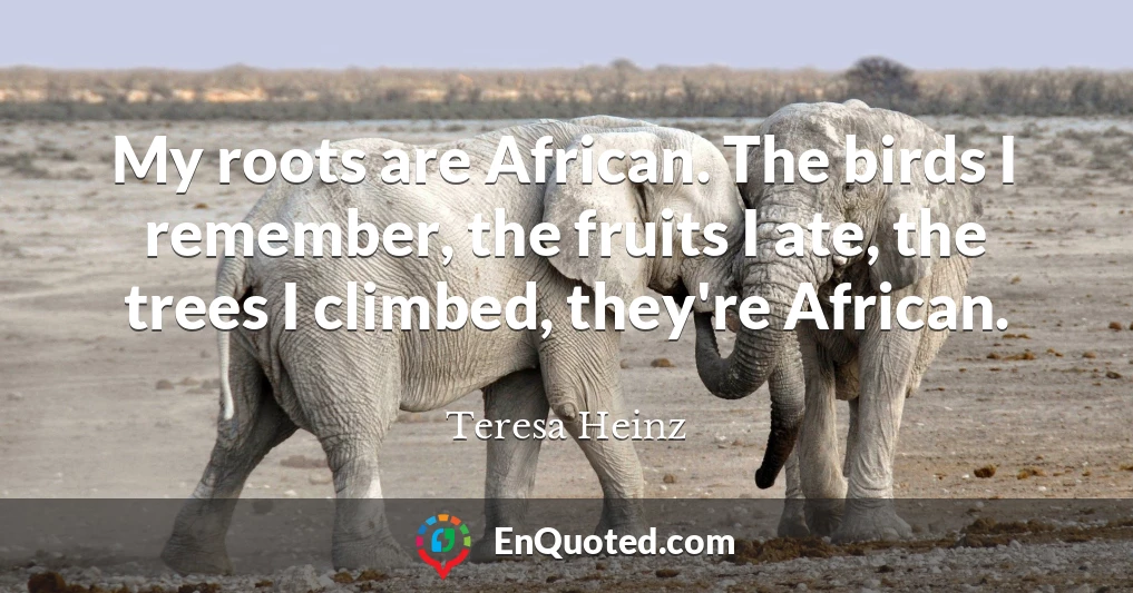 My roots are African. The birds I remember, the fruits I ate, the trees I climbed, they're African.