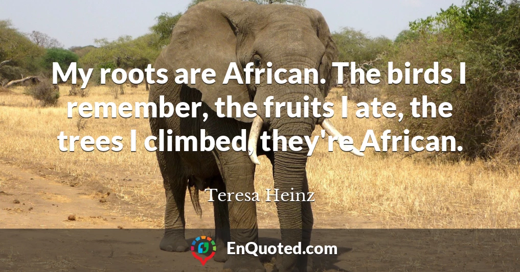 My roots are African. The birds I remember, the fruits I ate, the trees I climbed, they're African.