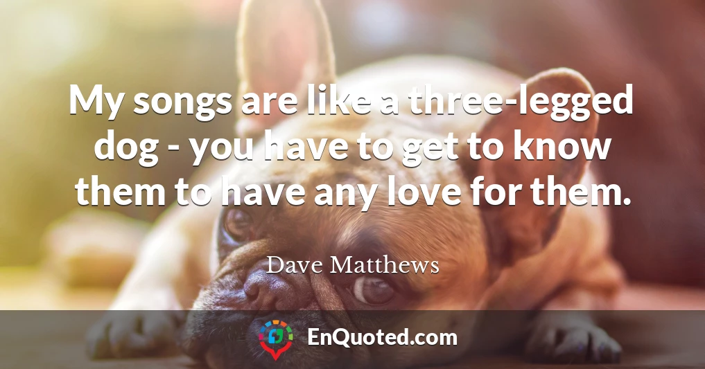 My songs are like a three-legged dog - you have to get to know them to have any love for them.