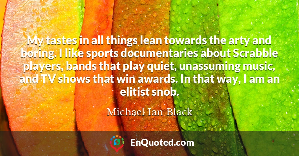 My tastes in all things lean towards the arty and boring. I like sports documentaries about Scrabble players, bands that play quiet, unassuming music, and TV shows that win awards. In that way, I am an elitist snob.