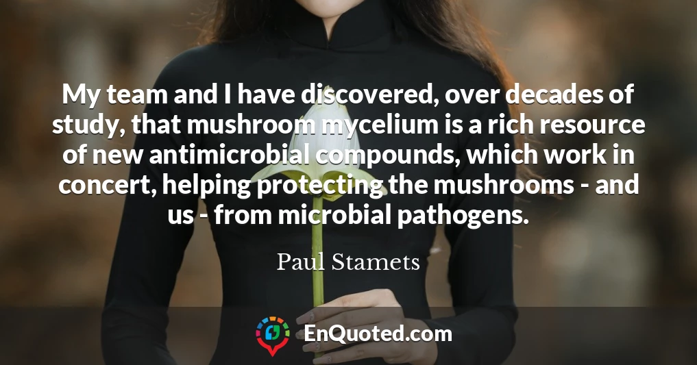 My team and I have discovered, over decades of study, that mushroom mycelium is a rich resource of new antimicrobial compounds, which work in concert, helping protecting the mushrooms - and us - from microbial pathogens.