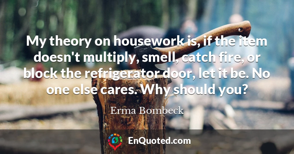 My theory on housework is, if the item doesn't multiply, smell, catch fire, or block the refrigerator door, let it be. No one else cares. Why should you?