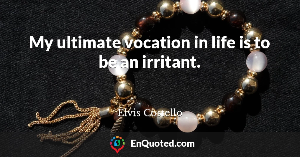 My ultimate vocation in life is to be an irritant.