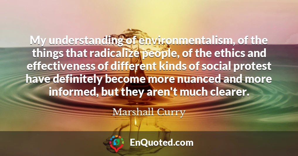 My understanding of environmentalism, of the things that radicalize people, of the ethics and effectiveness of different kinds of social protest have definitely become more nuanced and more informed, but they aren't much clearer.