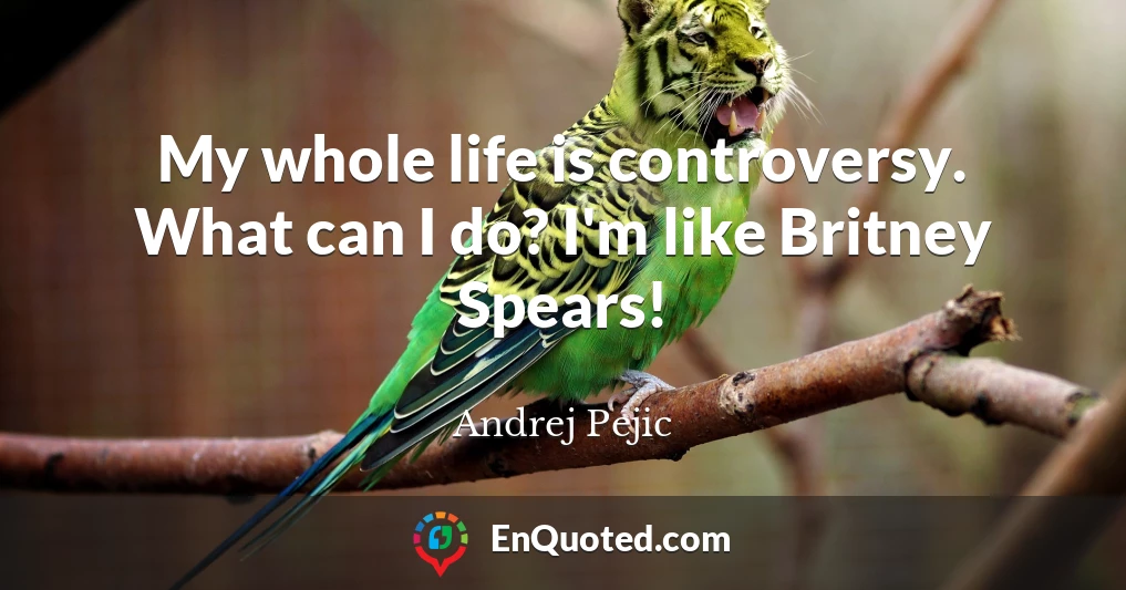 My whole life is controversy. What can I do? I'm like Britney Spears!