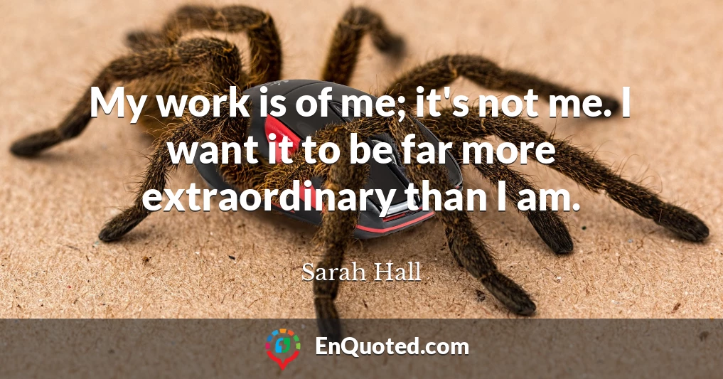 My work is of me; it's not me. I want it to be far more extraordinary than I am.