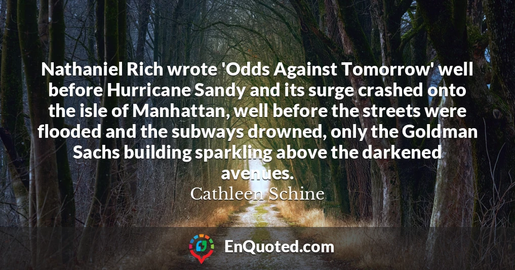 Nathaniel Rich wrote 'Odds Against Tomorrow' well before Hurricane Sandy and its surge crashed onto the isle of Manhattan, well before the streets were flooded and the subways drowned, only the Goldman Sachs building sparkling above the darkened avenues.