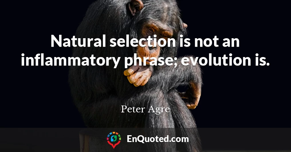 Natural selection is not an inflammatory phrase; evolution is.