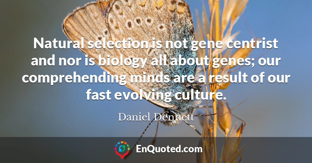 Natural selection is not gene centrist and nor is biology all about genes; our comprehending minds are a result of our fast evolving culture.