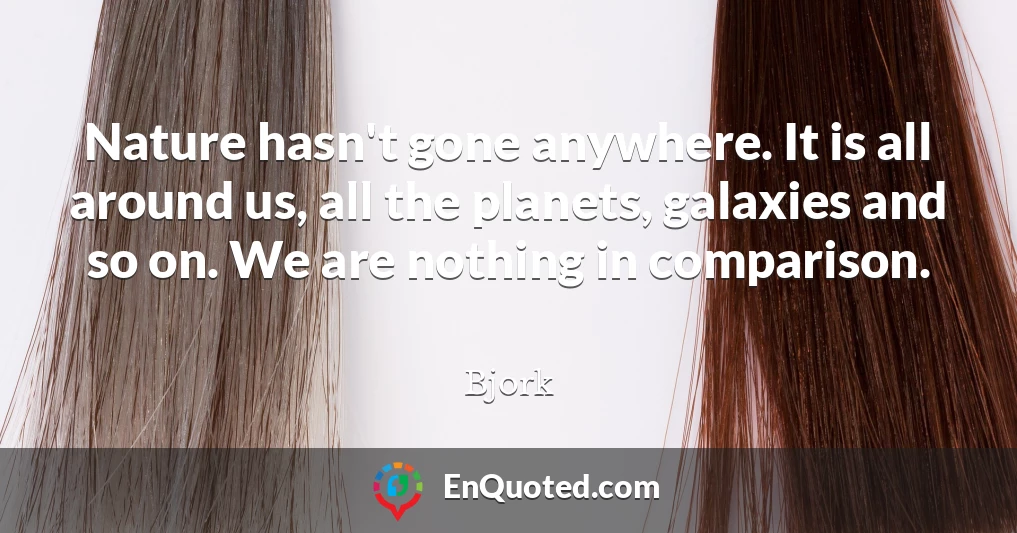 Nature hasn't gone anywhere. It is all around us, all the planets, galaxies and so on. We are nothing in comparison.