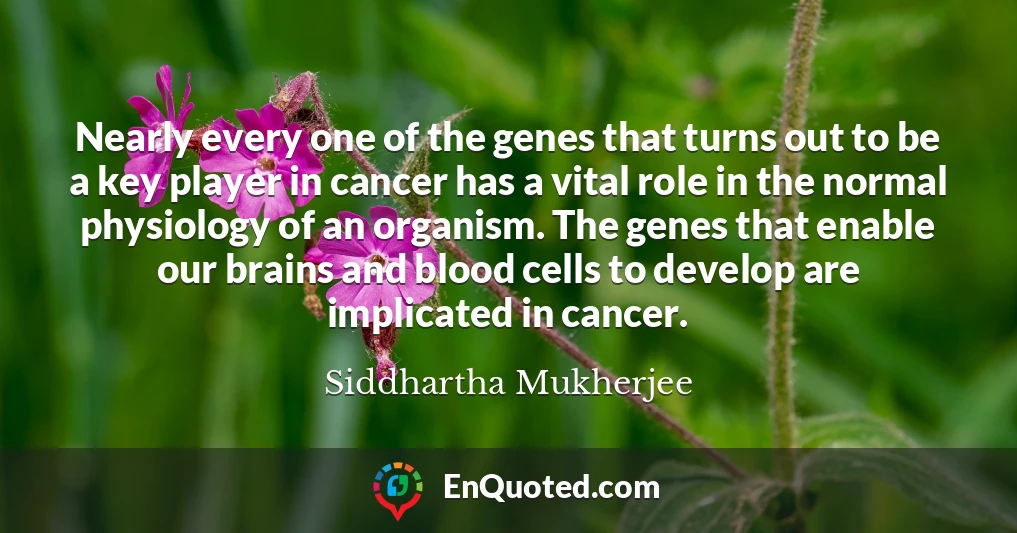 Nearly every one of the genes that turns out to be a key player in cancer has a vital role in the normal physiology of an organism. The genes that enable our brains and blood cells to develop are implicated in cancer.