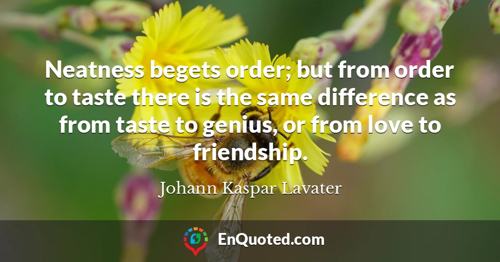 Neatness begets order; but from order to taste there is the same difference as from taste to genius, or from love to friendship.