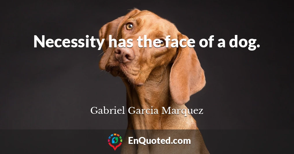 Necessity has the face of a dog.