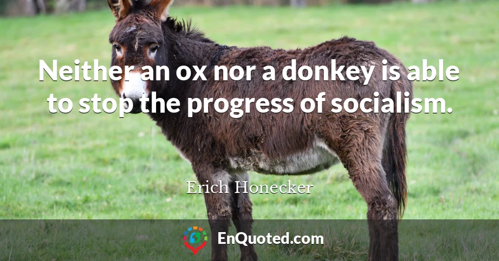Neither an ox nor a donkey is able to stop the progress of socialism.