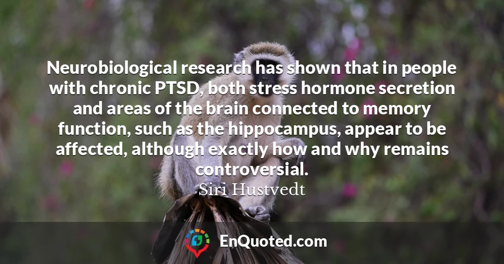 Neurobiological research has shown that in people with chronic PTSD, both stress hormone secretion and areas of the brain connected to memory function, such as the hippocampus, appear to be affected, although exactly how and why remains controversial.