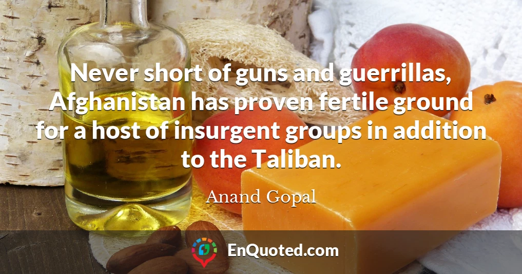 Never short of guns and guerrillas, Afghanistan has proven fertile ground for a host of insurgent groups in addition to the Taliban.