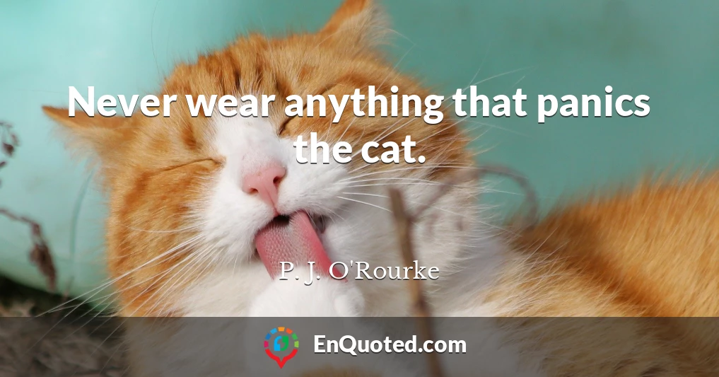 Never wear anything that panics the cat.