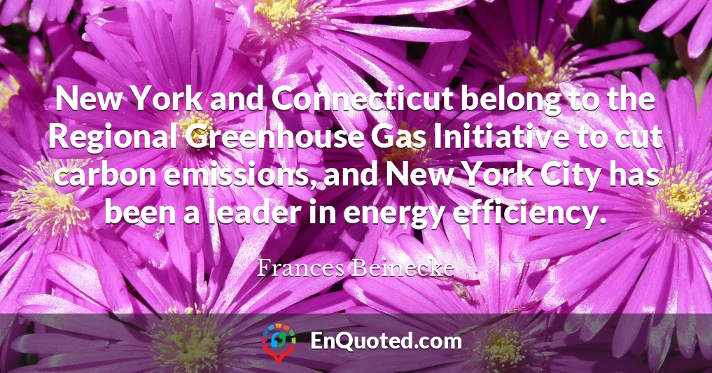 New York and Connecticut belong to the Regional Greenhouse Gas Initiative to cut carbon emissions, and New York City has been a leader in energy efficiency.