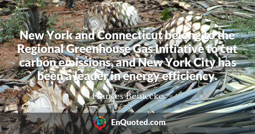 New York and Connecticut belong to the Regional Greenhouse Gas Initiative to cut carbon emissions, and New York City has been a leader in energy efficiency.