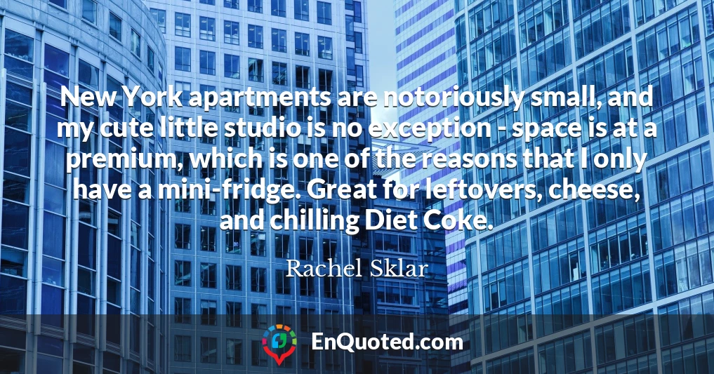 New York apartments are notoriously small, and my cute little studio is no exception - space is at a premium, which is one of the reasons that I only have a mini-fridge. Great for leftovers, cheese, and chilling Diet Coke.