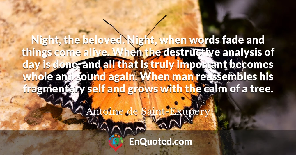 Night, the beloved. Night, when words fade and things come alive. When the destructive analysis of day is done, and all that is truly important becomes whole and sound again. When man reassembles his fragmentary self and grows with the calm of a tree.