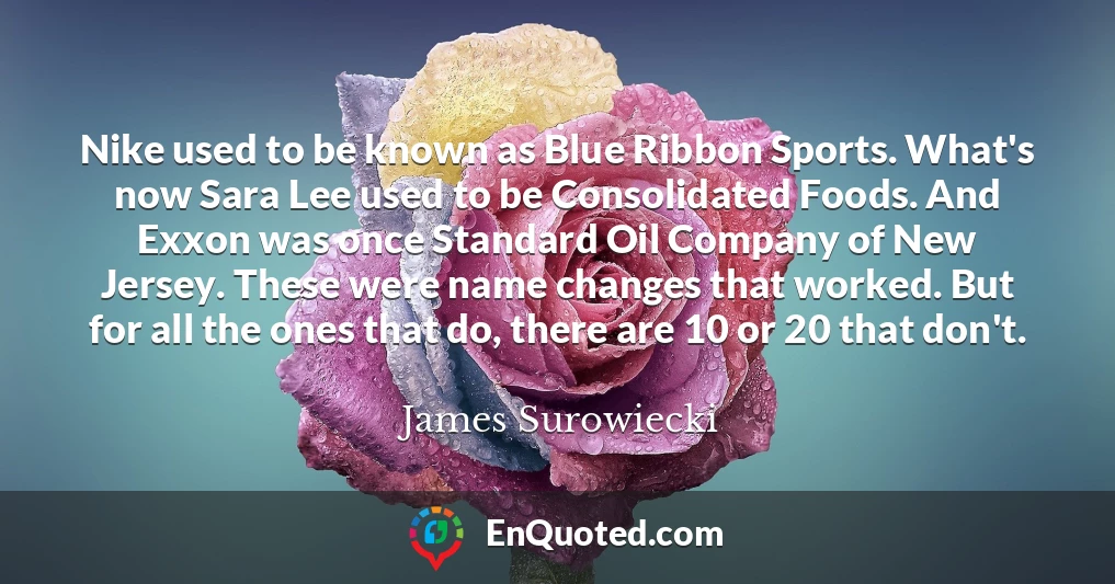 Nike used to be known as Blue Ribbon Sports. What's now Sara Lee used to be Consolidated Foods. And Exxon was once Standard Oil Company of New Jersey. These were name changes that worked. But for all the ones that do, there are 10 or 20 that don't.
