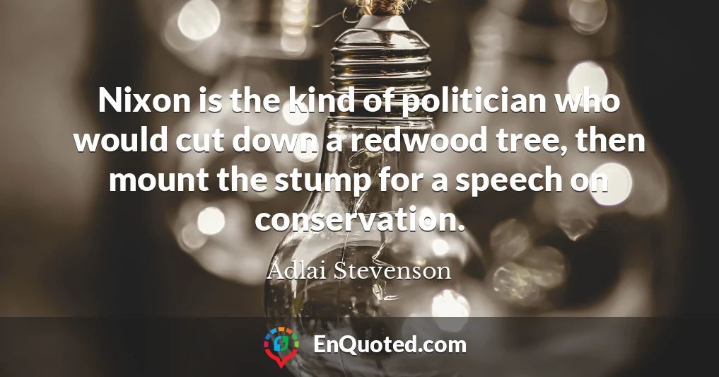 Nixon is the kind of politician who would cut down a redwood tree, then mount the stump for a speech on conservation.