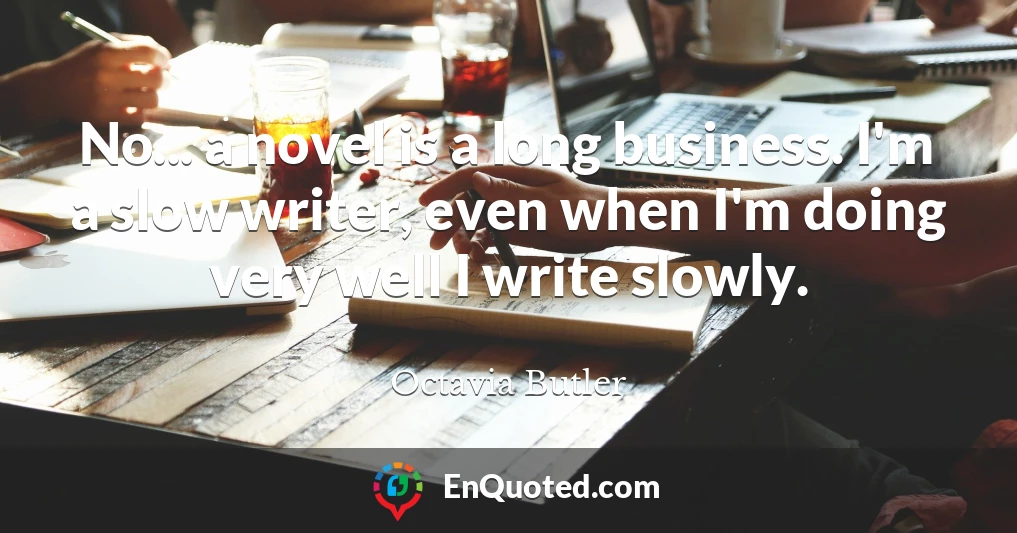 No... a novel is a long business. I'm a slow writer, even when I'm doing very well I write slowly.