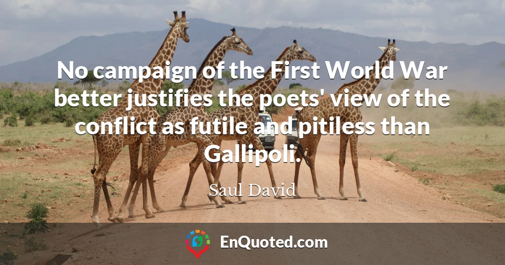 No campaign of the First World War better justifies the poets' view of the conflict as futile and pitiless than Gallipoli.