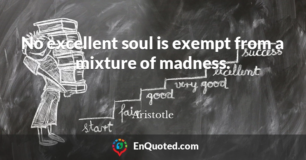 No excellent soul is exempt from a mixture of madness.