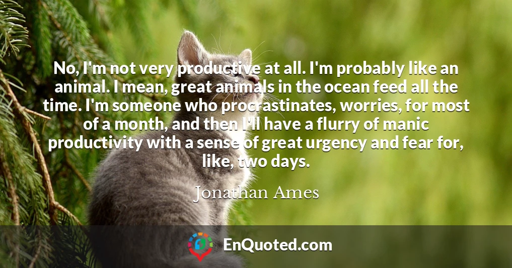 No, I'm not very productive at all. I'm probably like an animal. I mean, great animals in the ocean feed all the time. I'm someone who procrastinates, worries, for most of a month, and then I'll have a flurry of manic productivity with a sense of great urgency and fear for, like, two days.