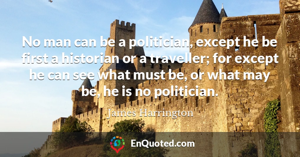 No man can be a politician, except he be first a historian or a traveller; for except he can see what must be, or what may be, he is no politician.