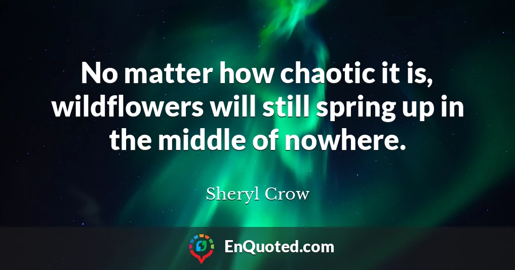 No matter how chaotic it is, wildflowers will still spring up in the middle of nowhere.