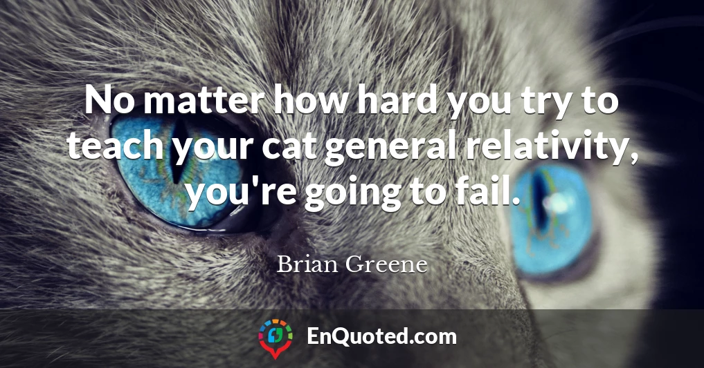 No matter how hard you try to teach your cat general relativity, you're going to fail.