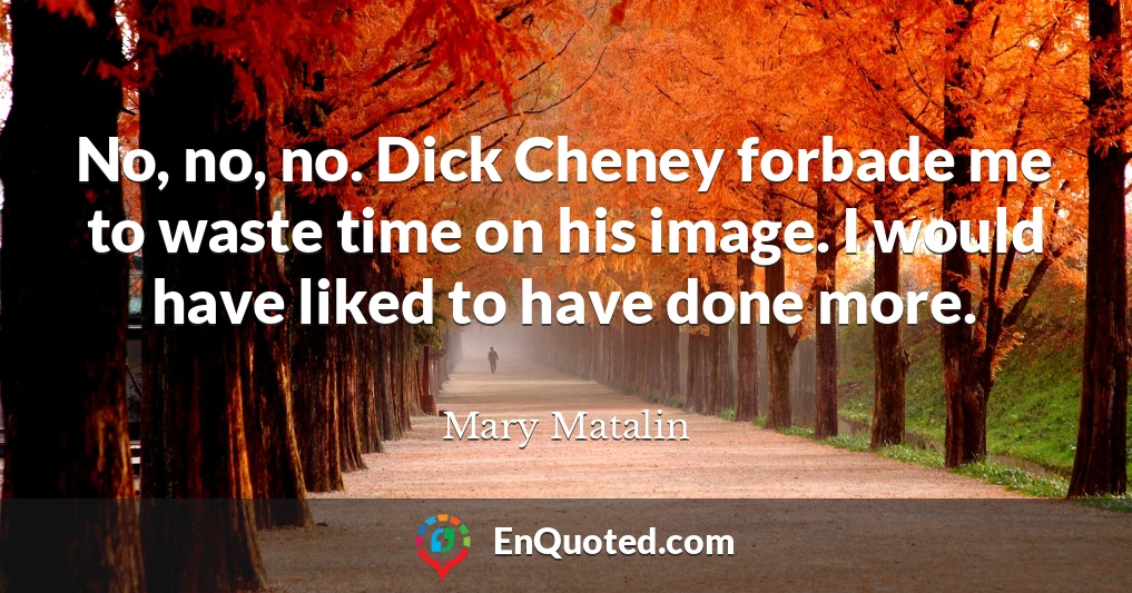 No, no, no. Dick Cheney forbade me to waste time on his image. I would have liked to have done more.