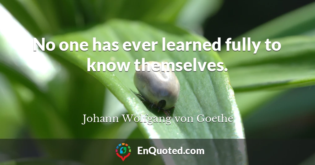 No one has ever learned fully to know themselves.