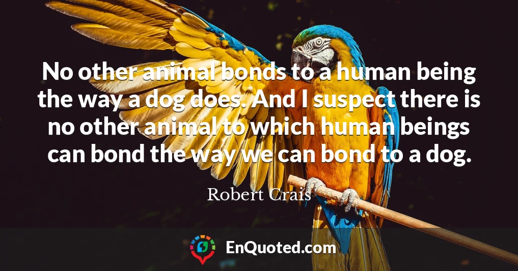 No other animal bonds to a human being the way a dog does. And I suspect there is no other animal to which human beings can bond the way we can bond to a dog.
