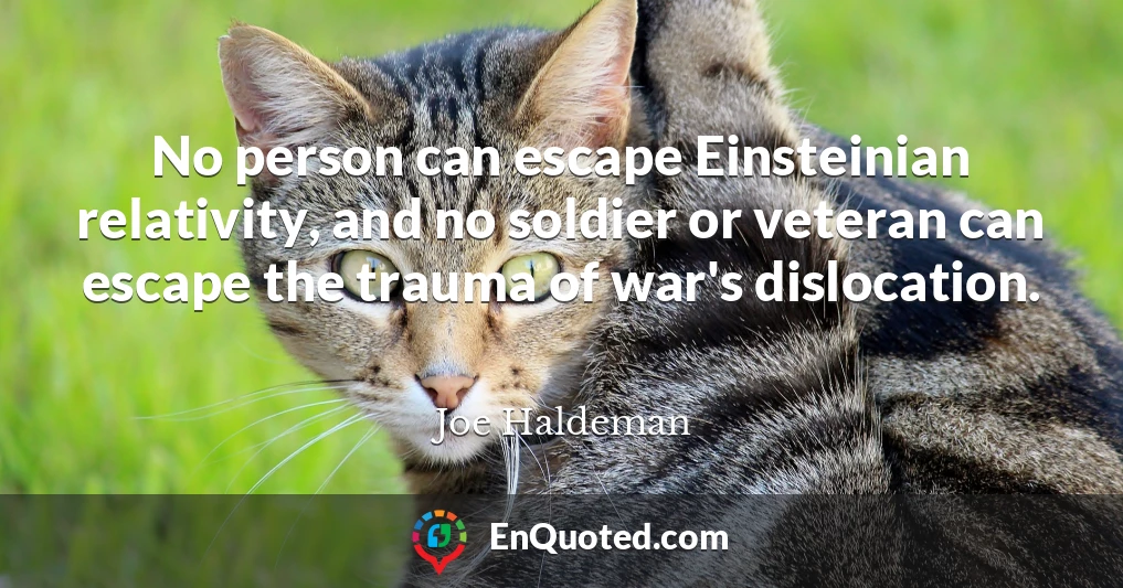 No person can escape Einsteinian relativity, and no soldier or veteran can escape the trauma of war's dislocation.