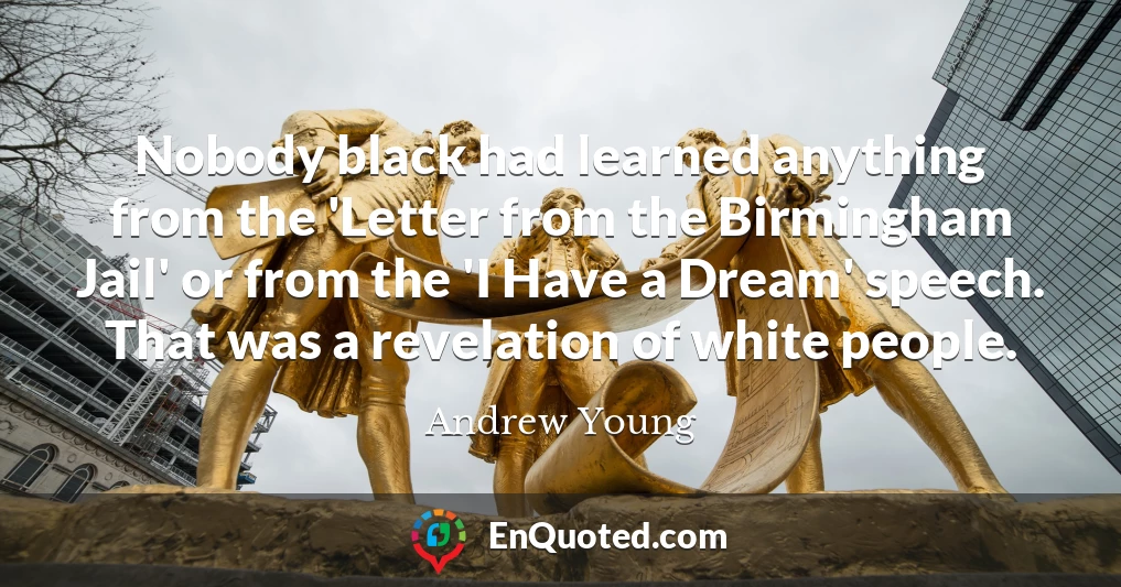 Nobody black had learned anything from the 'Letter from the Birmingham Jail' or from the 'I Have a Dream' speech. That was a revelation of white people.