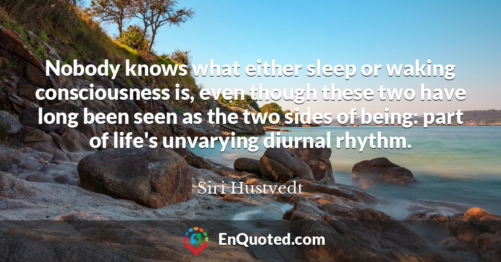 Nobody knows what either sleep or waking consciousness is, even though these two have long been seen as the two sides of being: part of life's unvarying diurnal rhythm.