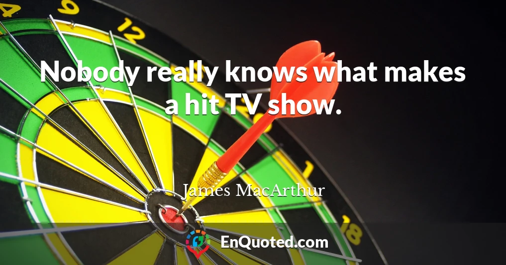 Nobody really knows what makes a hit TV show.