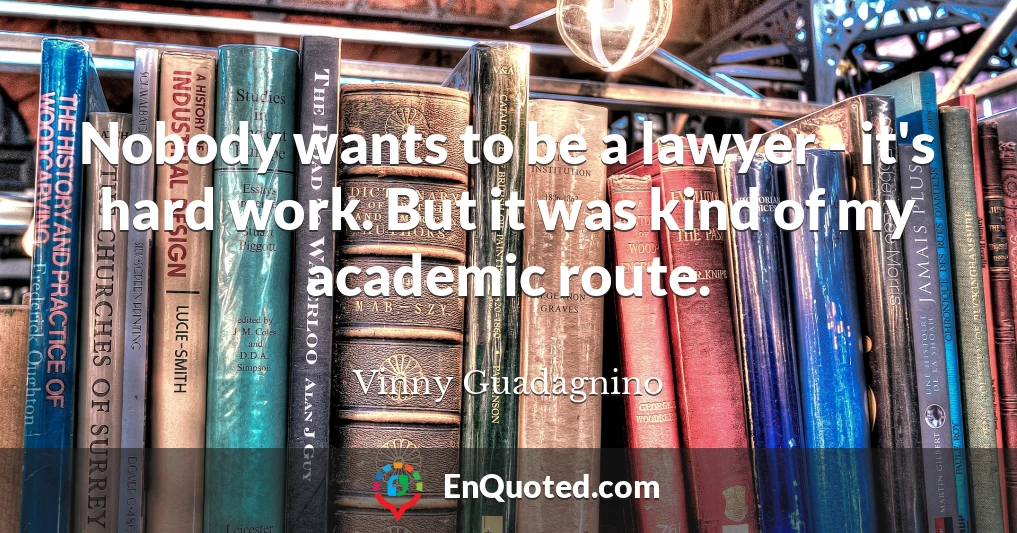Nobody wants to be a lawyer - it's hard work. But it was kind of my academic route.