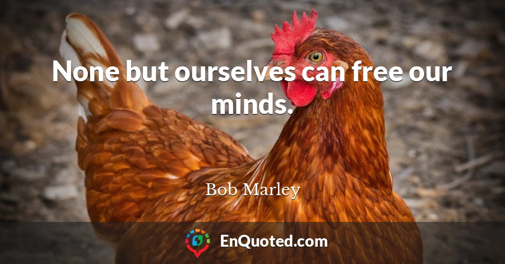 None but ourselves can free our minds.