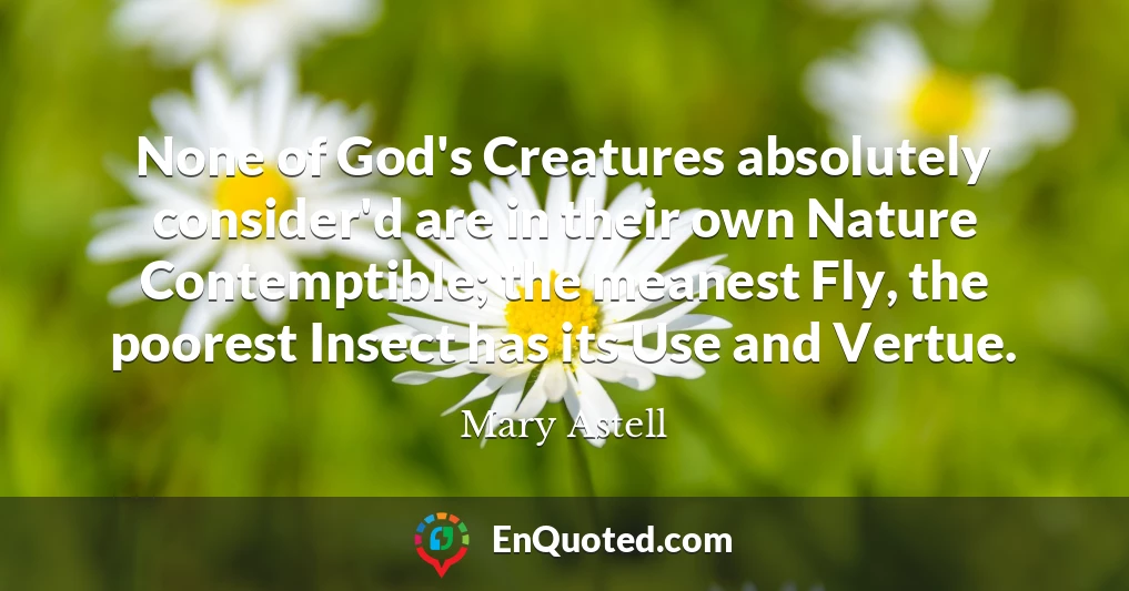None of God's Creatures absolutely consider'd are in their own Nature Contemptible; the meanest Fly, the poorest Insect has its Use and Vertue.