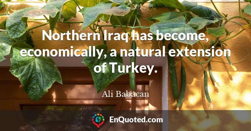 Northern Iraq has become, economically, a natural extension of Turkey.