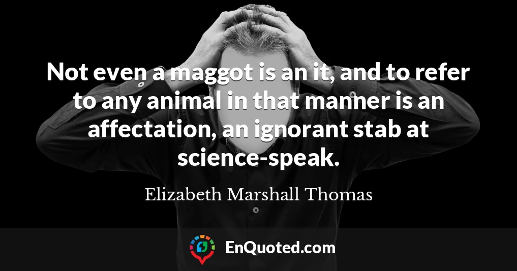Not even a maggot is an it, and to refer to any animal in that manner is an affectation, an ignorant stab at science-speak.
