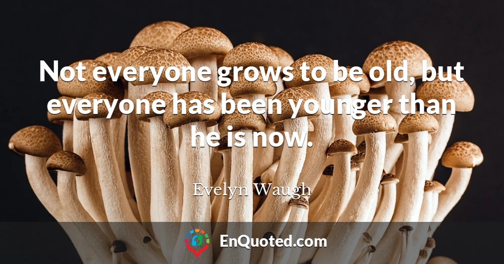 Not everyone grows to be old, but everyone has been younger than he is now.