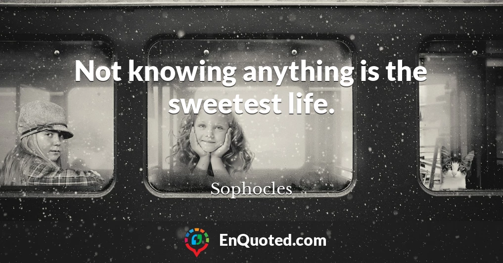 Not knowing anything is the sweetest life.