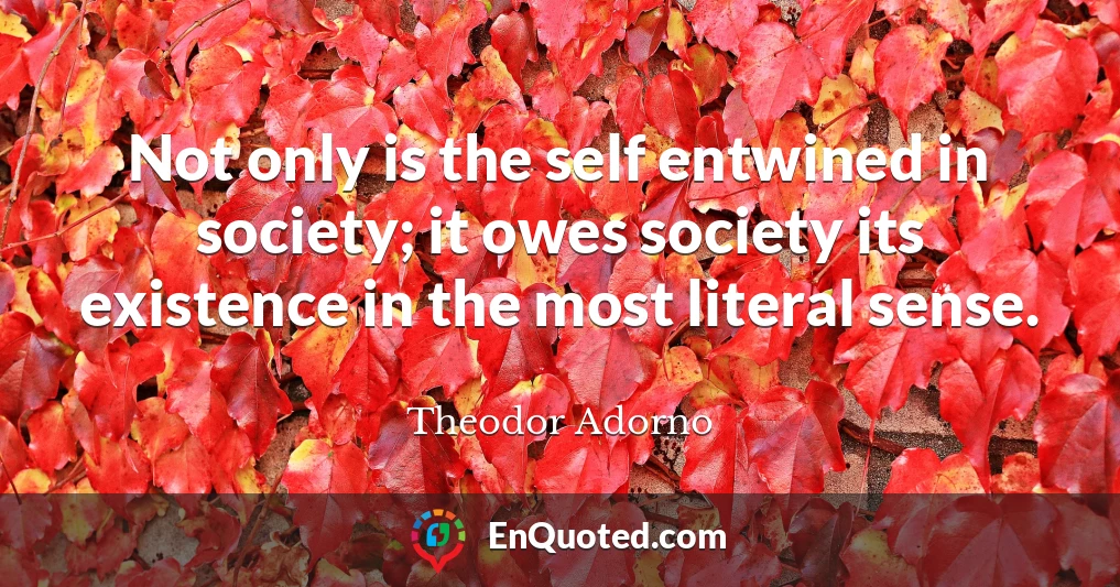 Not only is the self entwined in society; it owes society its existence in the most literal sense.