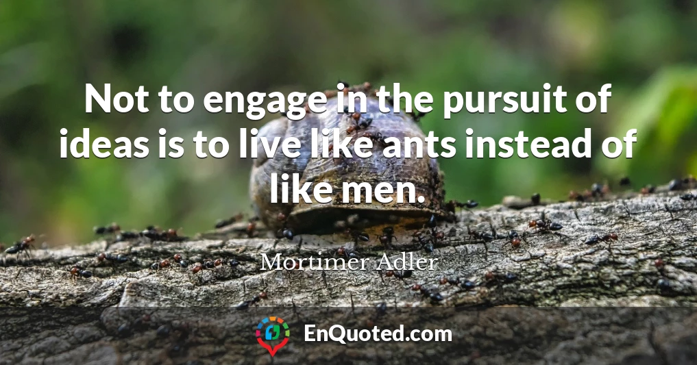 Not to engage in the pursuit of ideas is to live like ants instead of like men.